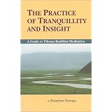 The Practice of Tranquillity & Insight: A Guide to Tibetan Buddhist Mediation