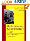 Buddhism in Contemporary Tibet: Religious Revival and Cultural Identity