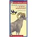 Mac's Pocket Guide: Grand Canyon National Park, Birds & Mammals (Mac's Pocket Guides)