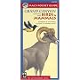 Mac's Pocket Guide: Grand Canyon National Park, Birds & Mammals (Mac's Pocket Guides)