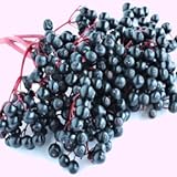 Faeries Finest Flavor Extract, Elderberry, 2.14 Ounce