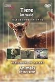 Eigenschaften Deutsche Austrophon GmbH  / Tiere im Wald