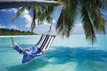 Tropical Beach (Hammock Under Tree) Art Poster Print - 61x91 cm
