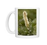 Woolly willow Photo Mugs