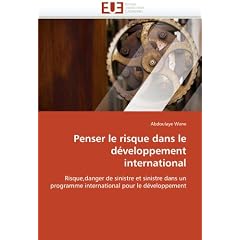 Penser Le Risque Dans Le D Veloppement International