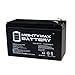 Mighty Max Battery 12V 9Ah SLA Battery Replaces GTO PRO SW2002XLS Dual Gate Opener Brand Product