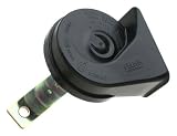 OES Genuine Horn