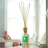 Alora Ambiance BIMBI Reed Diffuser - 8oz by Alora