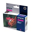 Epson Original Ink Cartridge  T0543 Magenta