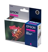Epson Original Ink Cartridge T0543 Magenta