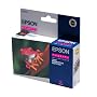 Epson Original Ink Cartridge  T0543 Magenta
