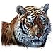 Tiger Head Adult Sweatshirt