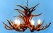 Antler Chandelier - 4 or 5 Lite Mule Deer or Whitetail