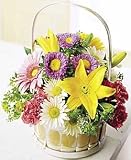 Happy Blooms Basket