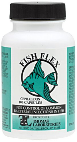 Fish Flex Cephalexin - 250 mg 100 capsules