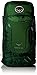 Osprey Packs Kestrel 38 Backpack, Jungle Green, Small/Medium