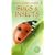 Bugs and Insects (Usborne Spotter's Guide)