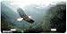 Into the Mist - Eagles - Wildlife Decor Art Print - License Plate Tag By Terry Isaac From Airstrike