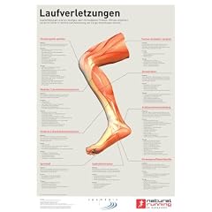 Laufverletzungen: Laufverletzungen sind ein h�ufiges, aber vermeidbares Problem. Oftmals entstehen sie durch Fehler in Technik und Ausr�stung, die Sie gut beeinflussen k�nnen