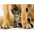 Animal Friends Jigsaw Puzzle 100pc