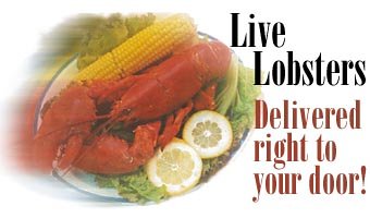 Classic New England Lobster Clambake by Lobsters-Online
