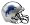 Detroit Lions