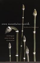 Even Mountains Vanish