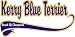 Kerry Blue Terrier Breed of Champion Apron