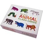 Eric Carle Animal Flash Cards by Eric Carle