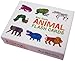 Animal Flash Cards