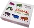 Eric Carle Animal Flash Cards (Eric Carle)
