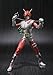 TAMASHII NATIONS Bandai S.H. Figuarts Masked Rider ZX Action Figure