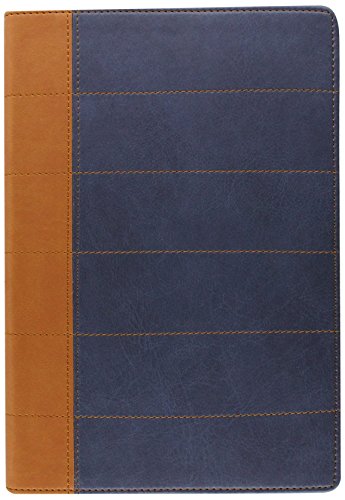 Santa Biblia Thompson edición especial para el estudio bíblico RVR 1960 (Spanish Edition)