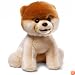 Gund Boo- World's Cutest Dog  from Gund  9 IN