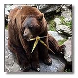 Brown Bear North Carolina Bear - 10x10 Wall Clock