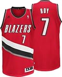 Brandon Roy Alternate adidas Revolution 30 Swingman Portland Trail Blazers Youth Jersey