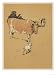 White Bulldog Approaches a Docile-Looking Cow in a Field Animals Giclee Poster Print by Cecil Aldin, 36x48