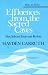 Effluences from the Sacred Caves: More Selected Essays and Reviews (Poets on Poetry)