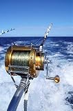 Black Friday  Fishing from Boat's Stern - 24