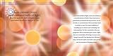 Wheels of Life: A User's Guide to the Chakra System (Llewellyn's New Age Series)