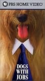 Dogs With Jobs [VHS]