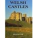 Welsh Castles: A Guide by Counties