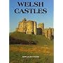 Welsh Castles: A Guide by Counties