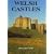 Welsh Castles: A Guide by Counties