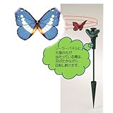 ���i�̏ڍ�