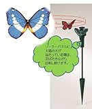 ソーラースティック　バタフライ　ブルー