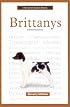 A New Owner's Guide to Brittanys (New Owner's Guide to)