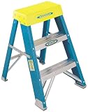 Werner 6002 2-Foot 250-Pound Duty Rating Fiberglass Step Stool