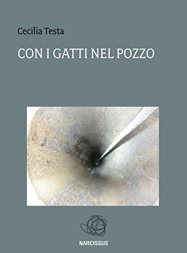 Con i gatti nel pozzo (Italian Edition)