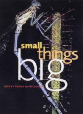 City Travel Guides Discounted  Books : Small Things Big